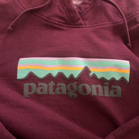 Patagonia Burgundy Hoodie - Picture 2 of 6